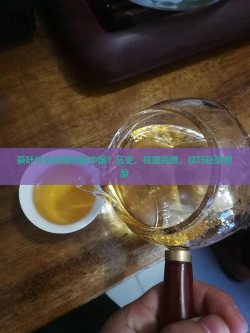 茶叶什么时候引进中国