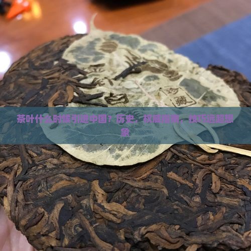 茶叶什么时候引进中国