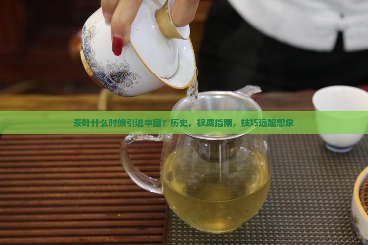 茶叶什么时候引进中国