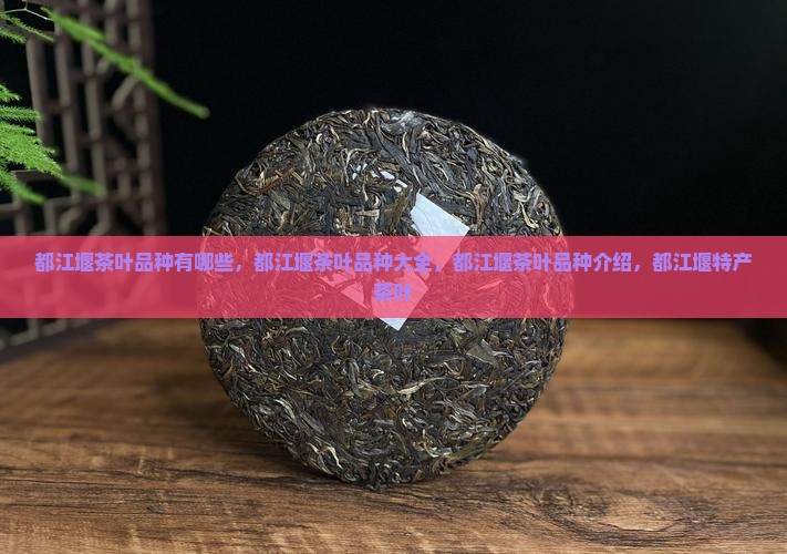 都江堰茶叶品种