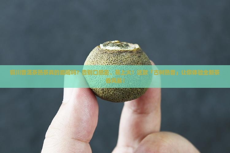 铜川普洱茶熟茶