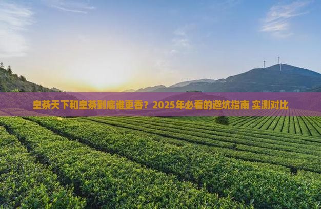 皇茶天下与皇茶的区别