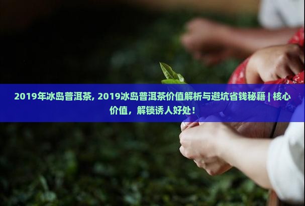 2019年冰岛普洱茶