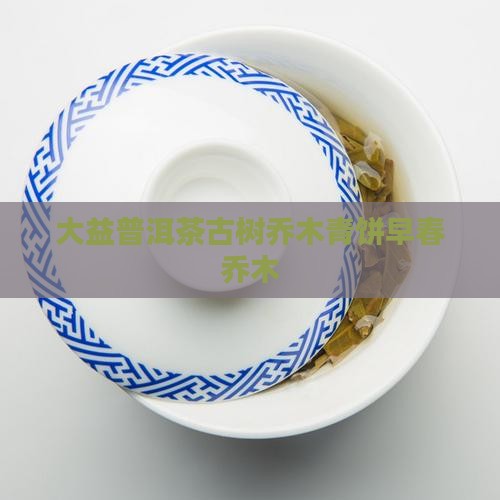 大益普洱茶古树乔木青饼