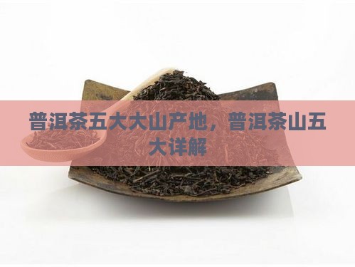 普洱茶五大山产地