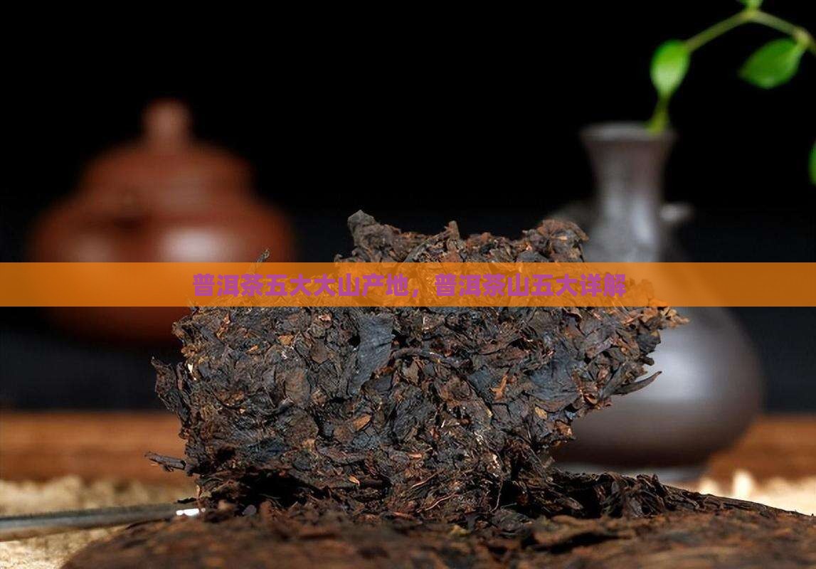 普洱茶五大山产地