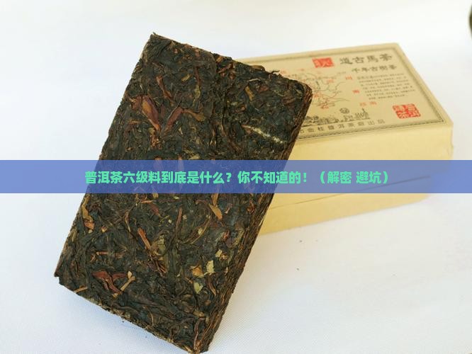 普洱茶六级料什么意思
