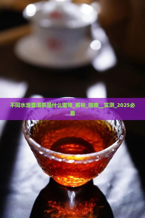 不同水泡普洱茶是什么滋味