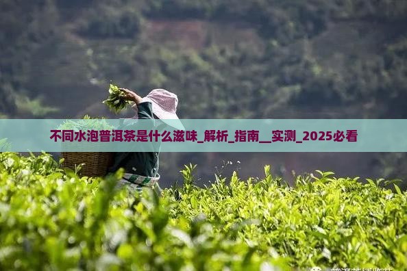 不同水泡普洱茶是什么滋味