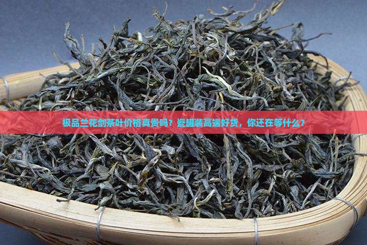 极品兰花剑茶叶价格瓷罐装