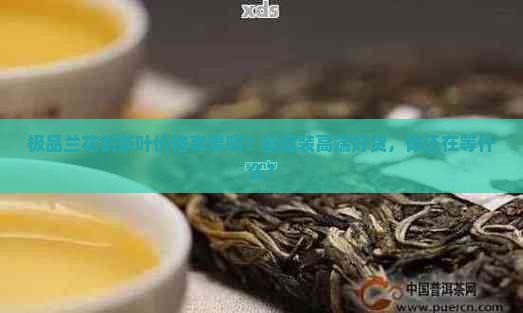 极品兰花剑茶叶价格瓷罐装