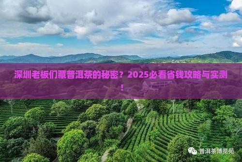 深圳有老板购买购普洱茶吗