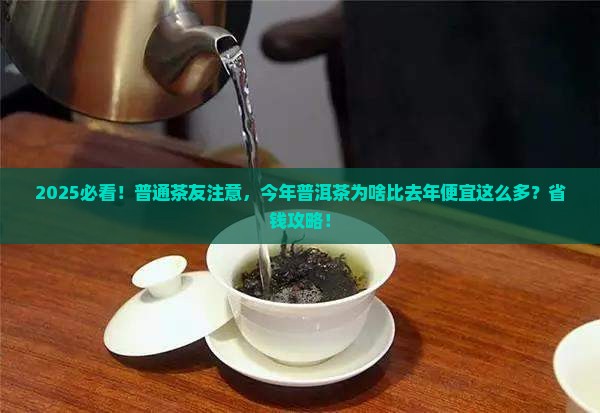 今年普洱茶为什么比去年便宜