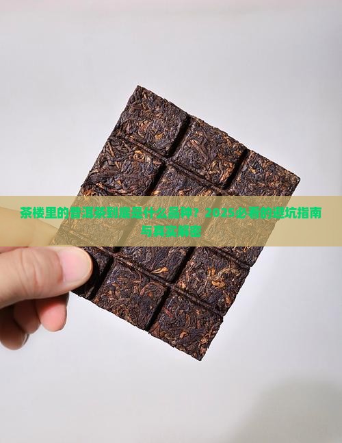 茶楼常见的普洱茶是什么品种