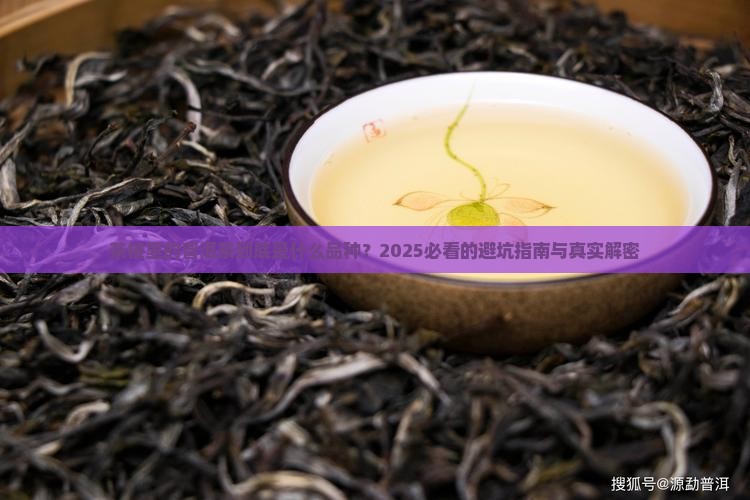 茶楼常见的普洱茶是什么品种