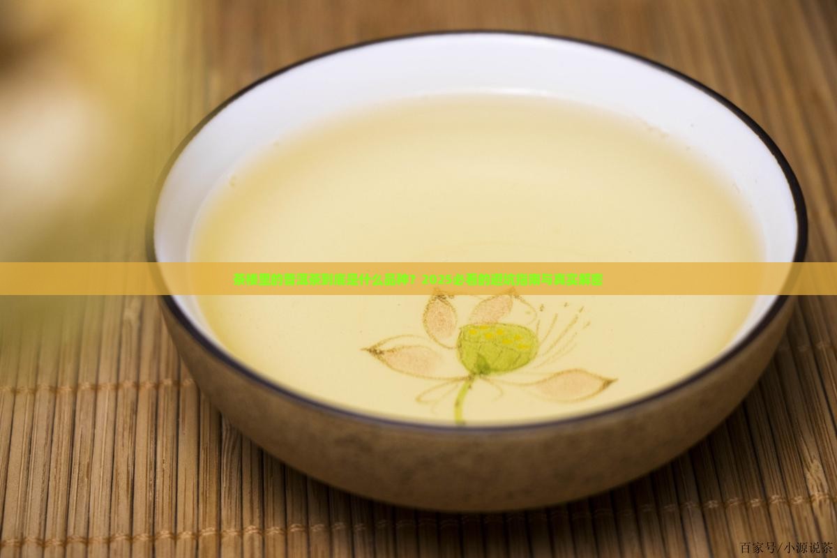 茶楼常见的普洱茶是什么品种