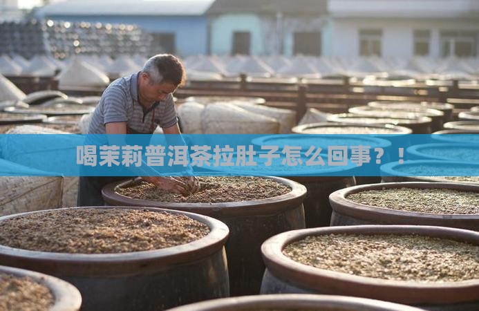 喝茉莉普洱茶拉肚子怎么回事