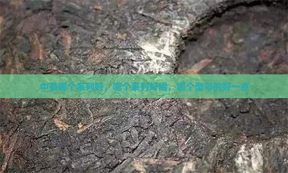 中茶哪个系列好