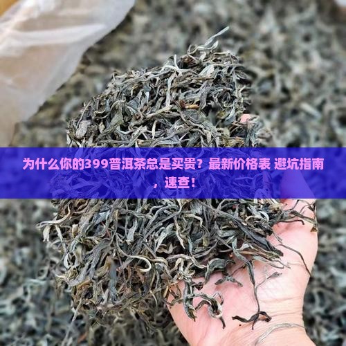 399普洱茶价格表