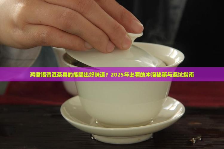 鸡嘴喝普洱茶特点