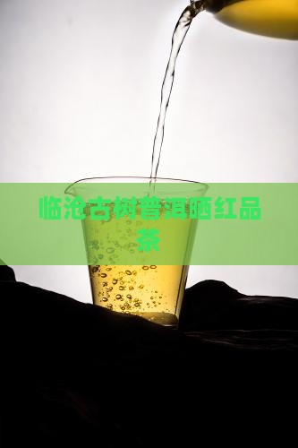 临沧普洱茶晒红品茶