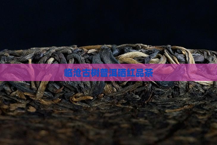 临沧普洱茶晒红品茶