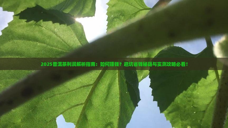 普洱茶利润如何