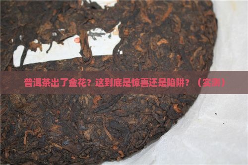 普洱茶出了金花