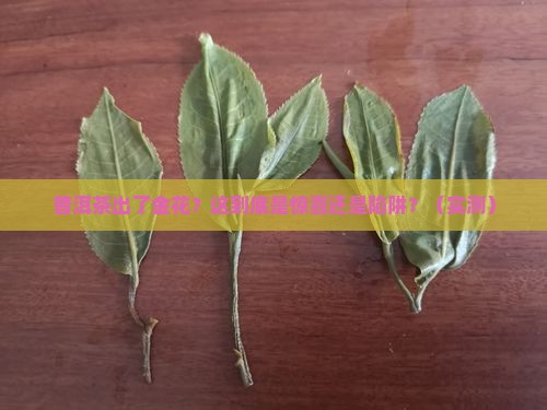 普洱茶出了金花