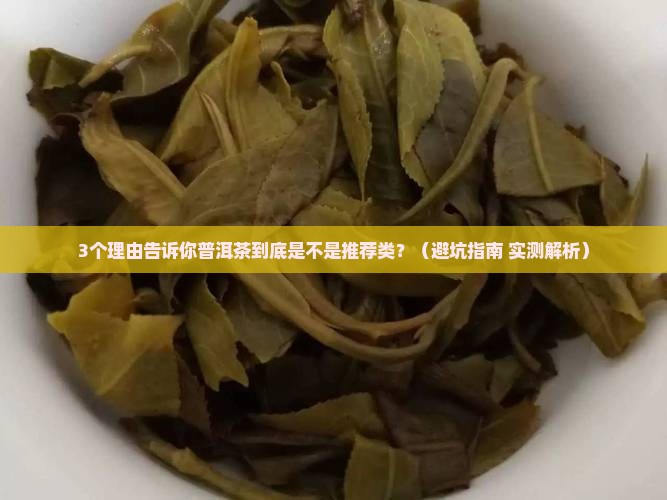 普洱茶属于品牌推荐类吗