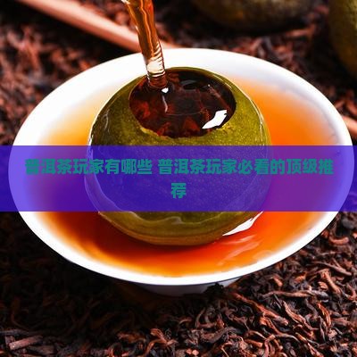 普洱茶玩家品牌有哪些
