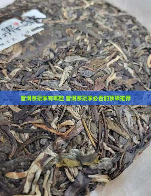 普洱茶玩家品牌有哪些