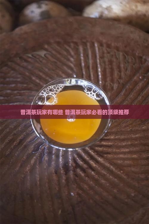 普洱茶玩家品牌有哪些