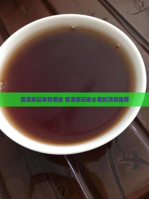 普洱茶玩家品牌有哪些