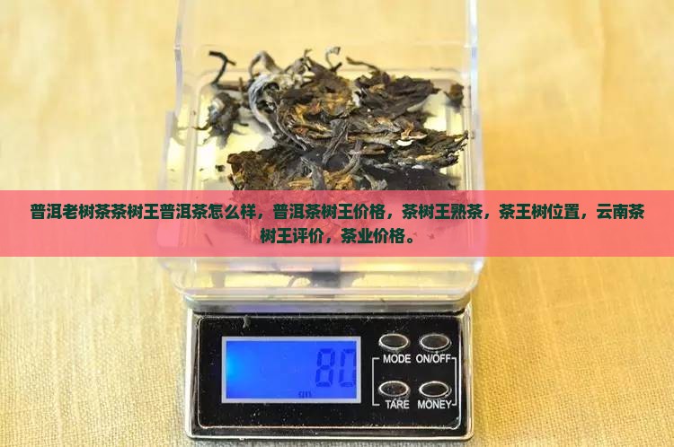 普洱老树茶茶树王普洱茶怎么样