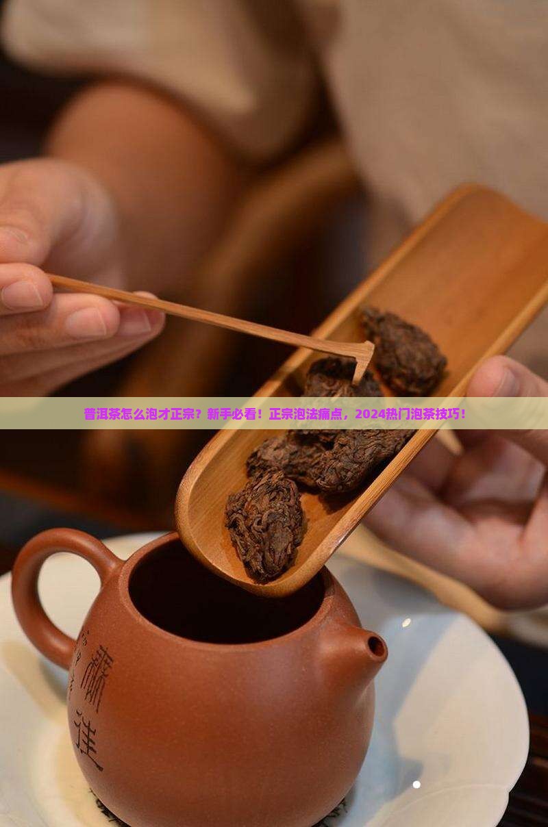 普洱茶的正宗泡法