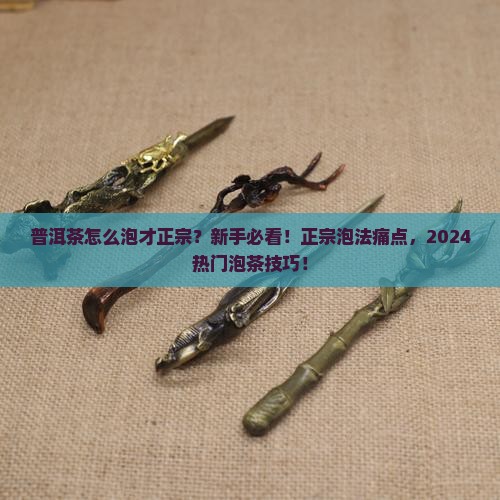 普洱茶的正宗泡法