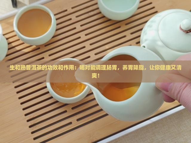 生和熟普洱茶的功效和作用 生和熟普洱茶的功效和作用