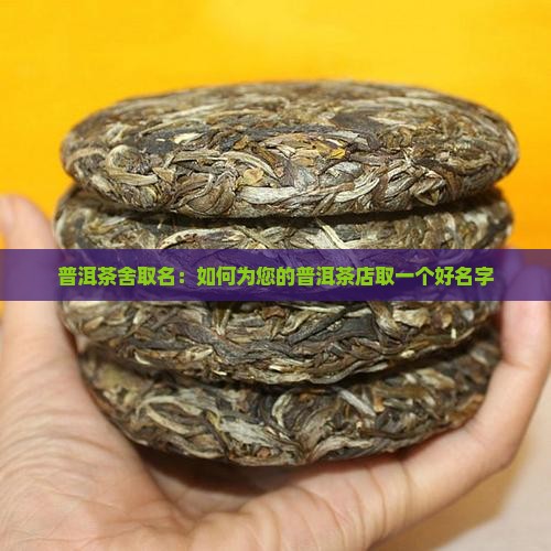给普洱茶舍取名