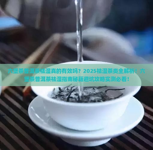 六堡茶普洱茶祛湿