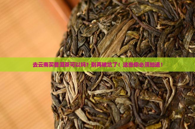 去云南买普洱茶可以吗