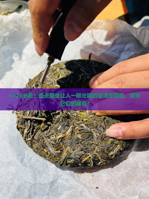 普洱茶什么颜值最高 普洱茶什么颜值最高