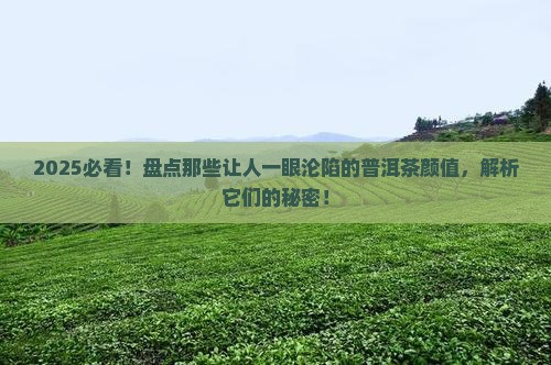 普洱茶什么颜值最高 普洱茶什么颜值最高