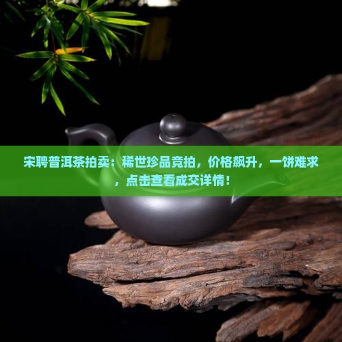 宋聘普洱茶拍卖