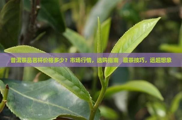 普洱茶品茗杯价格