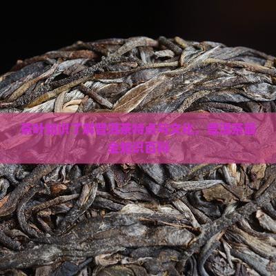 茶叶知识了解普洱茶