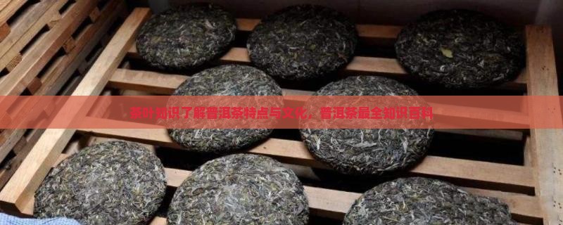 茶叶知识了解普洱茶