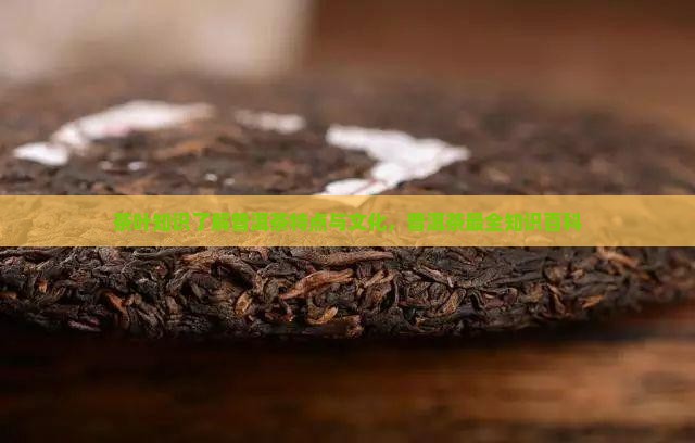 茶叶知识了解普洱茶