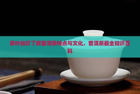 茶叶知识了解普洱茶