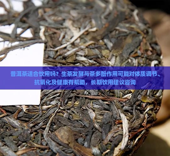 普洱茶适合饮用吗